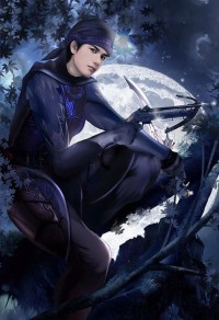 警花相伴作者：雨夜带刀不带伞
